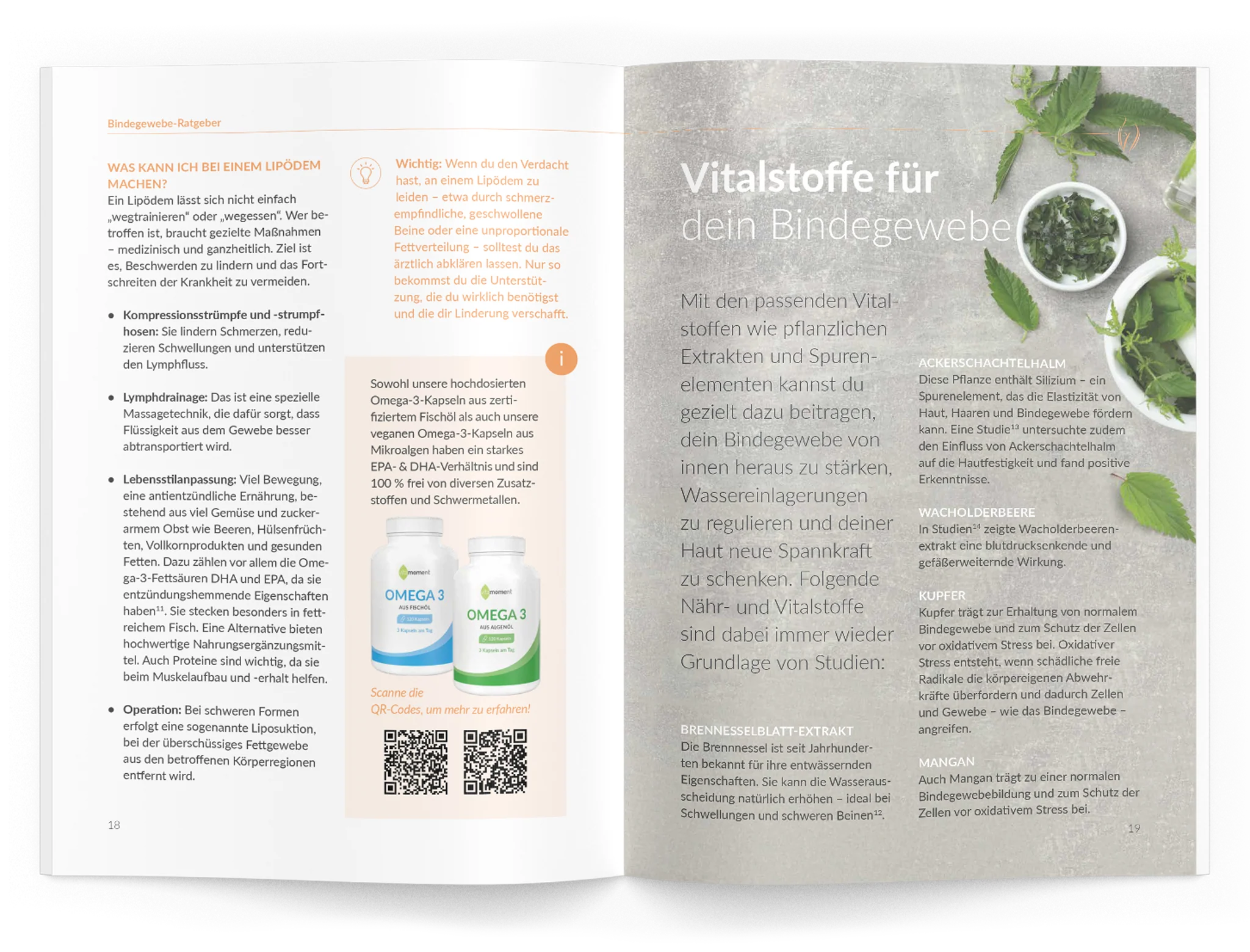 Bindegewebe-Ratgeber - Image 4