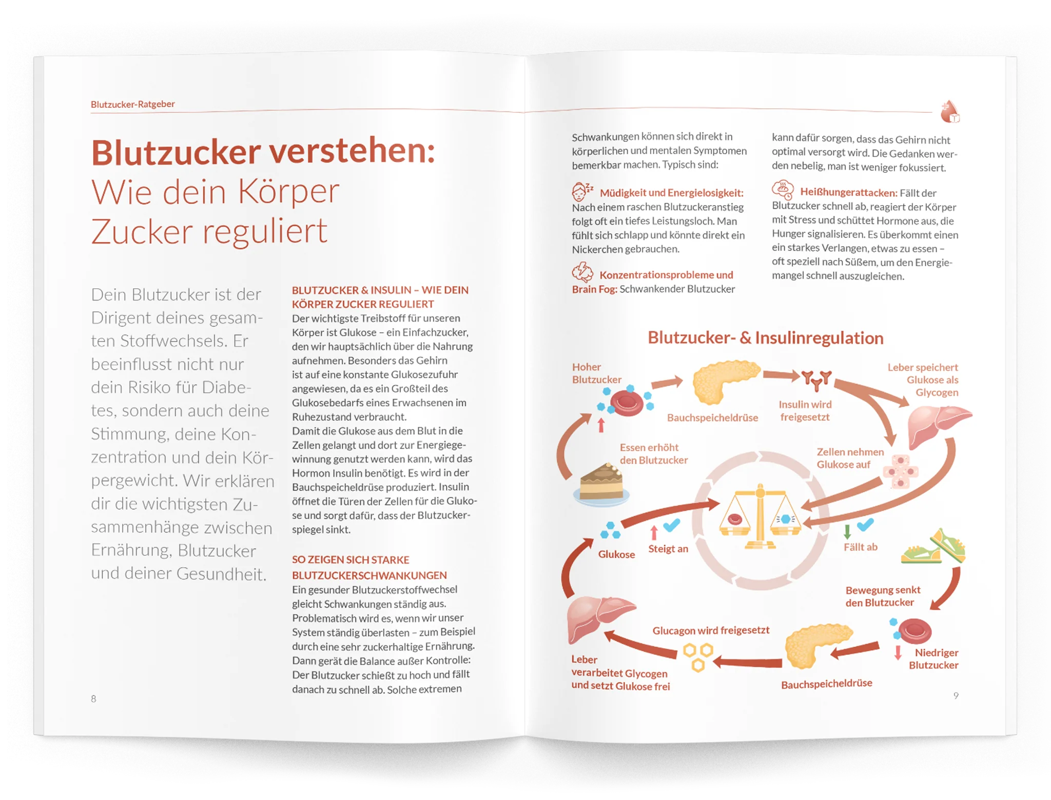 Blutzucker-Ratgeber - Image 3