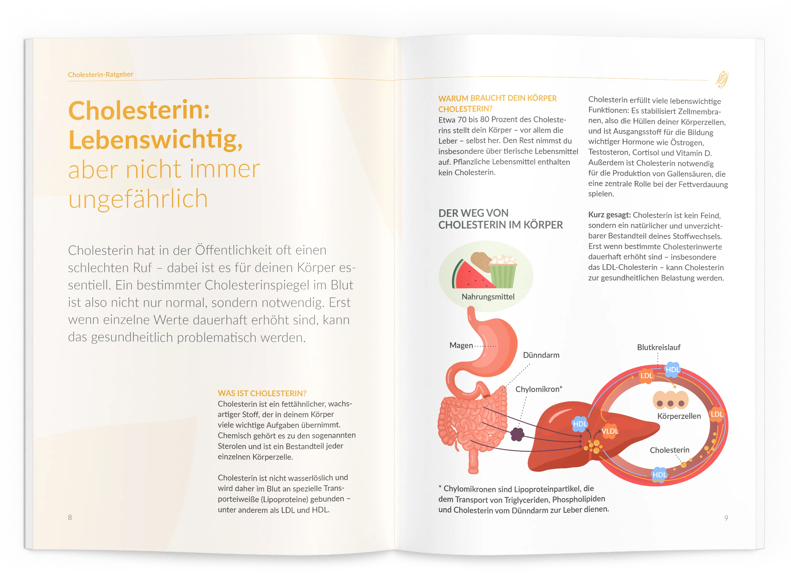 Cholesterin-Ratgeber - Image 3