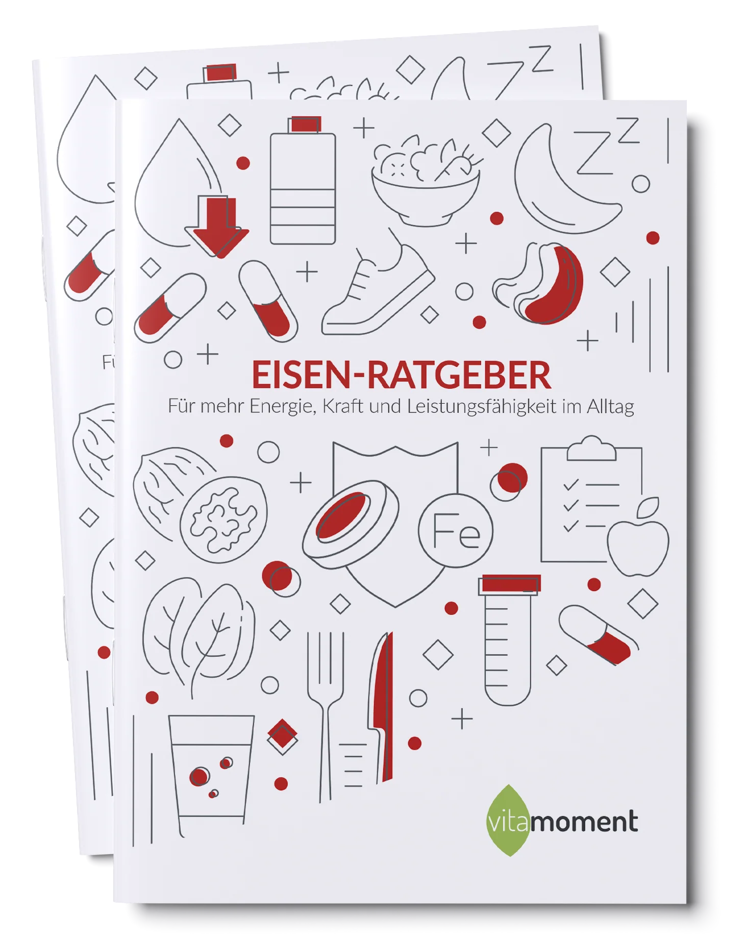 Eisen-Ratgeber