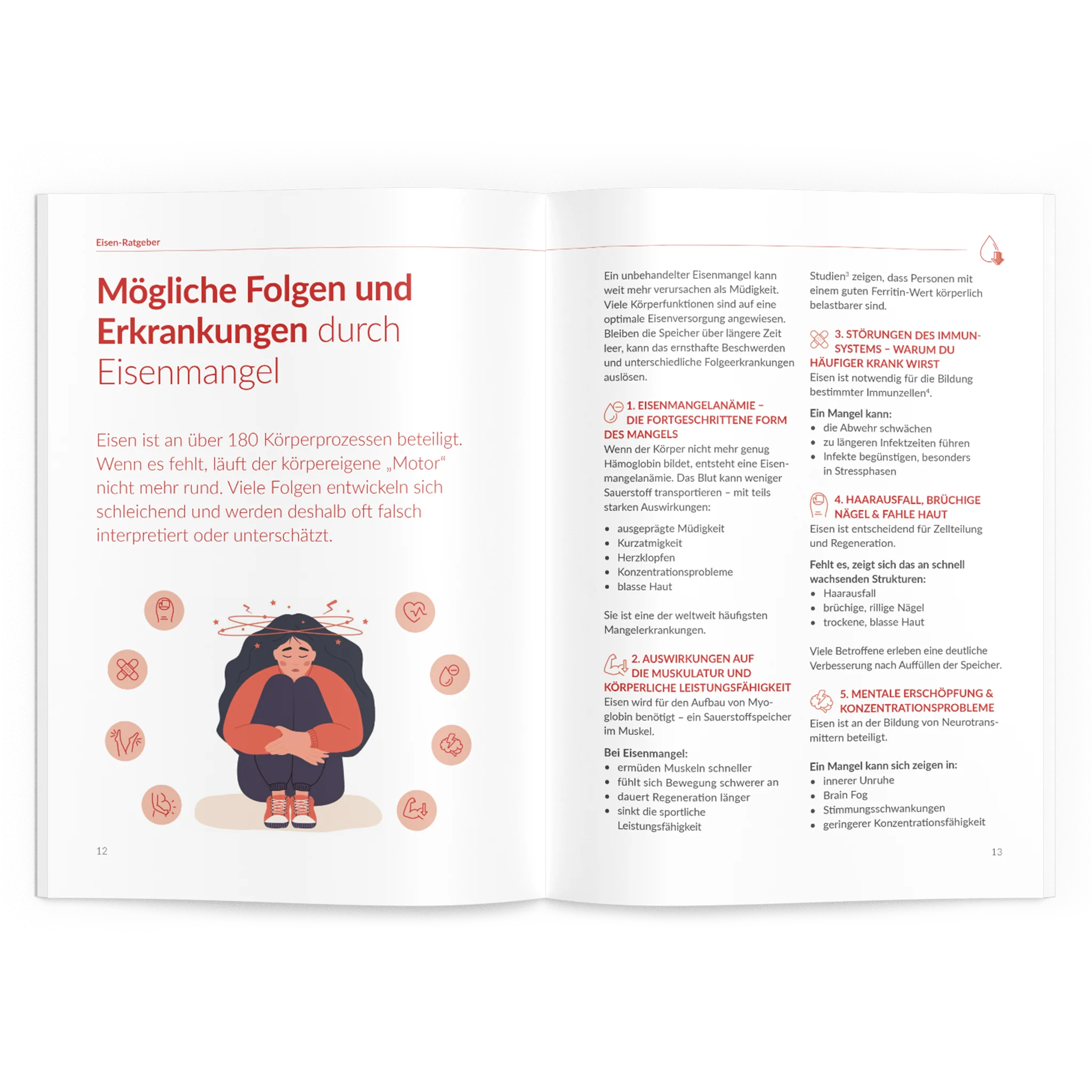 Eisen-Ratgeber - Image 2