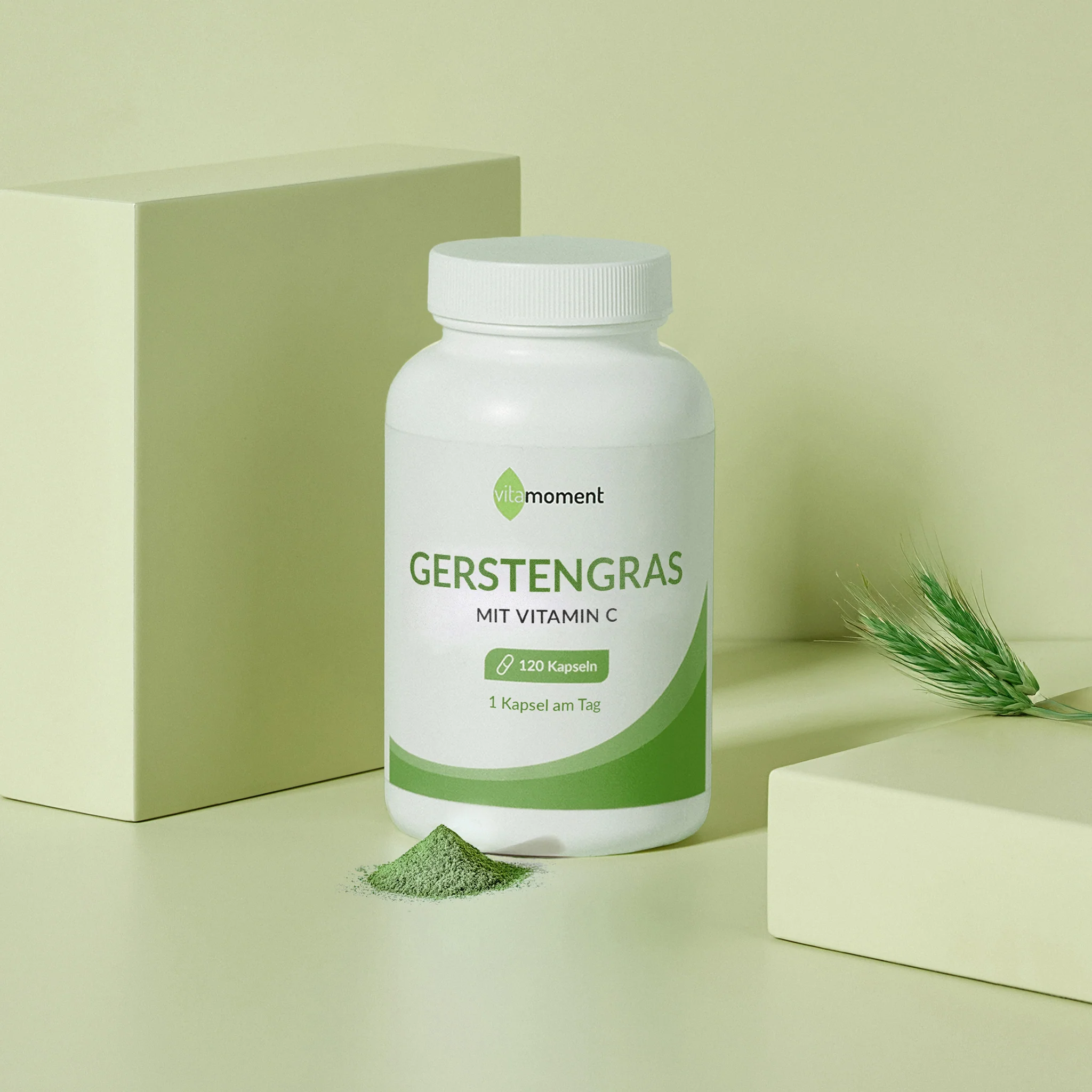 Gerstengras - Image 2