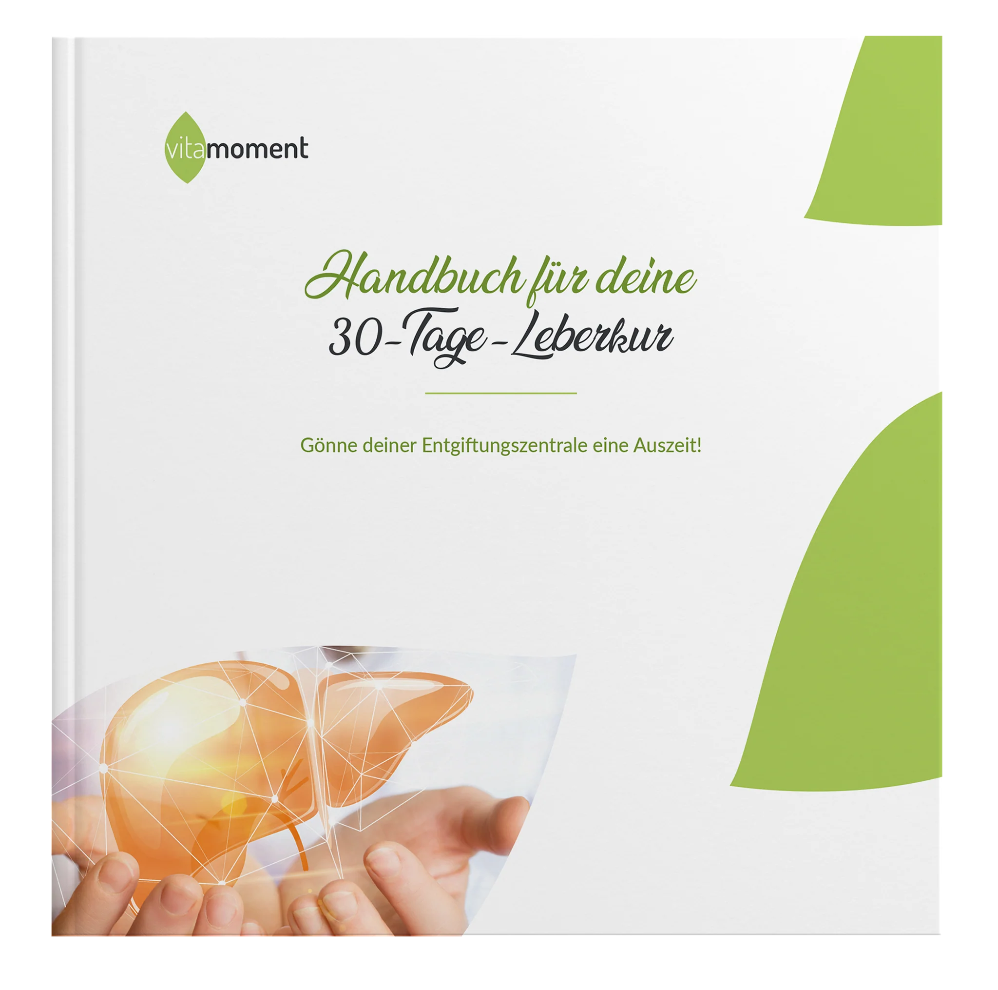 Handbuch Leberkur