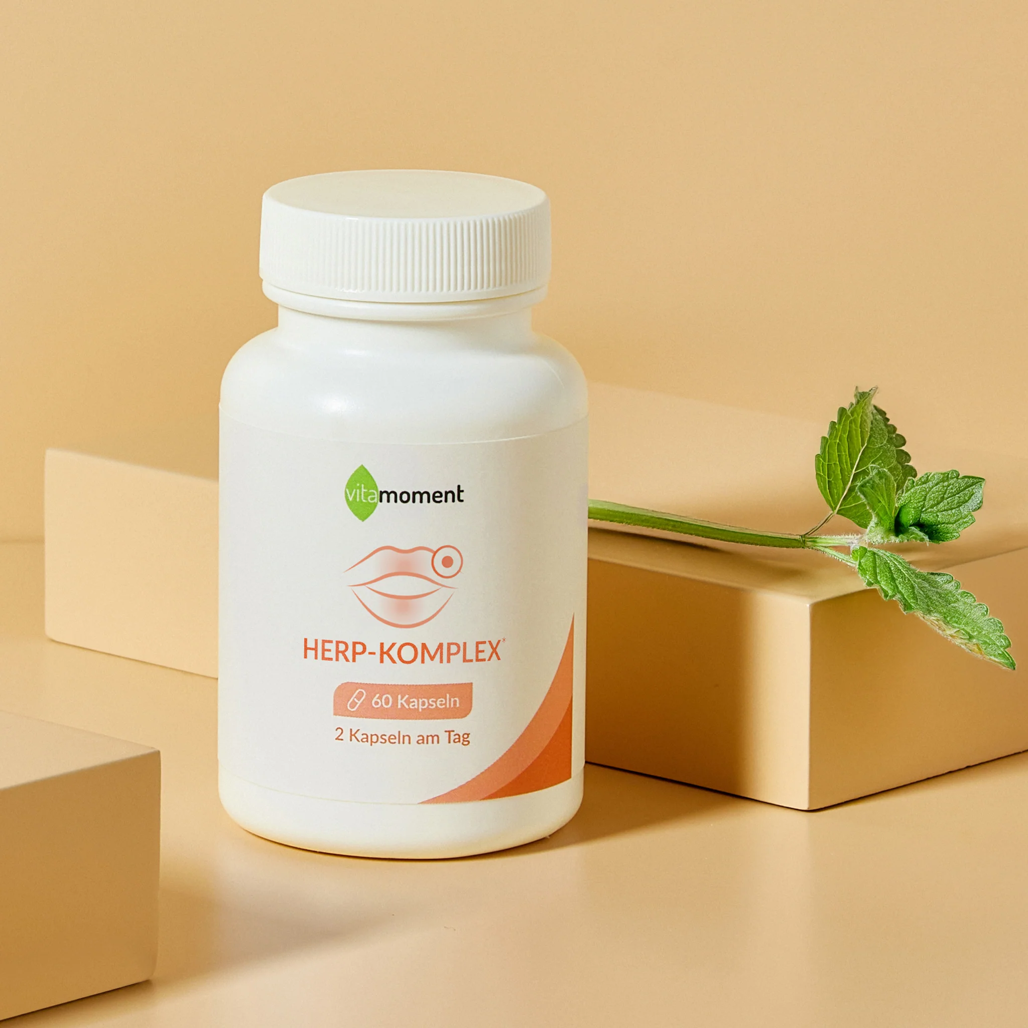 Herp-Komplex - Image 2