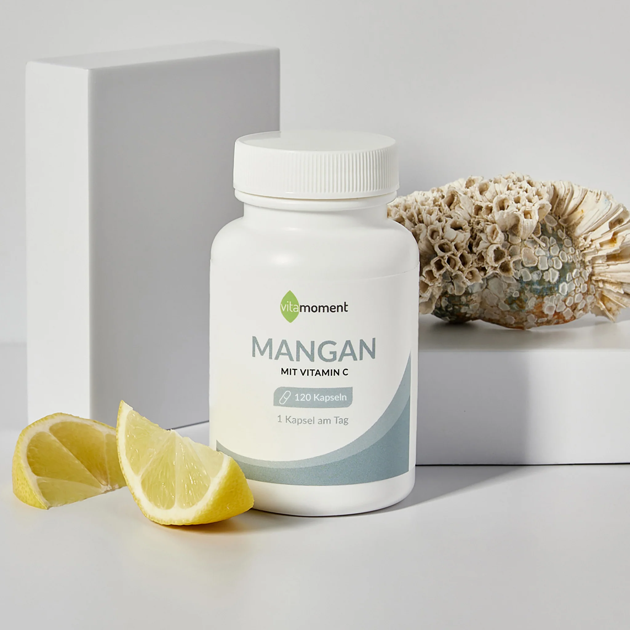 Mangan - Image 2
