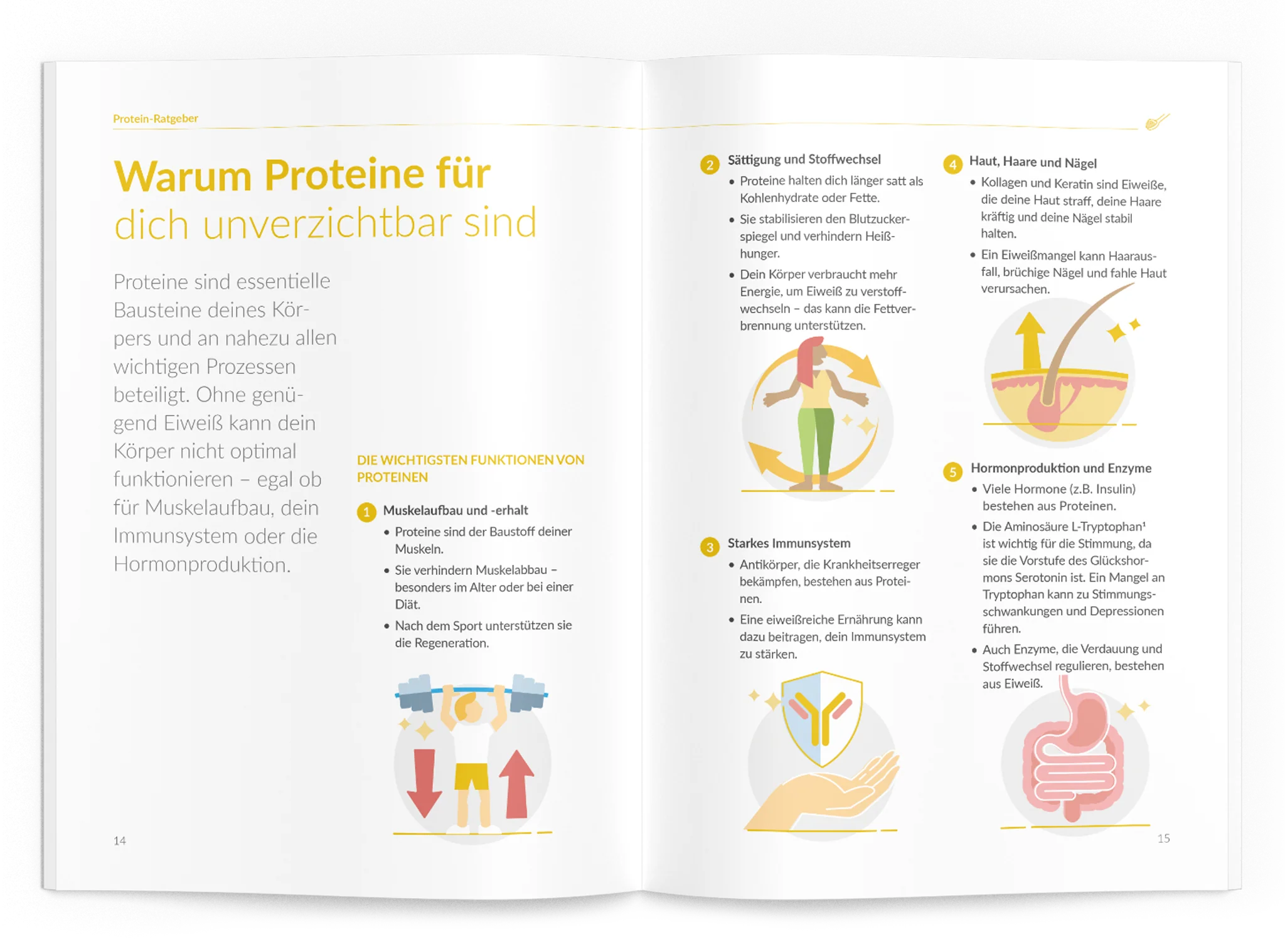 Protein-Ratgeber - Image 3