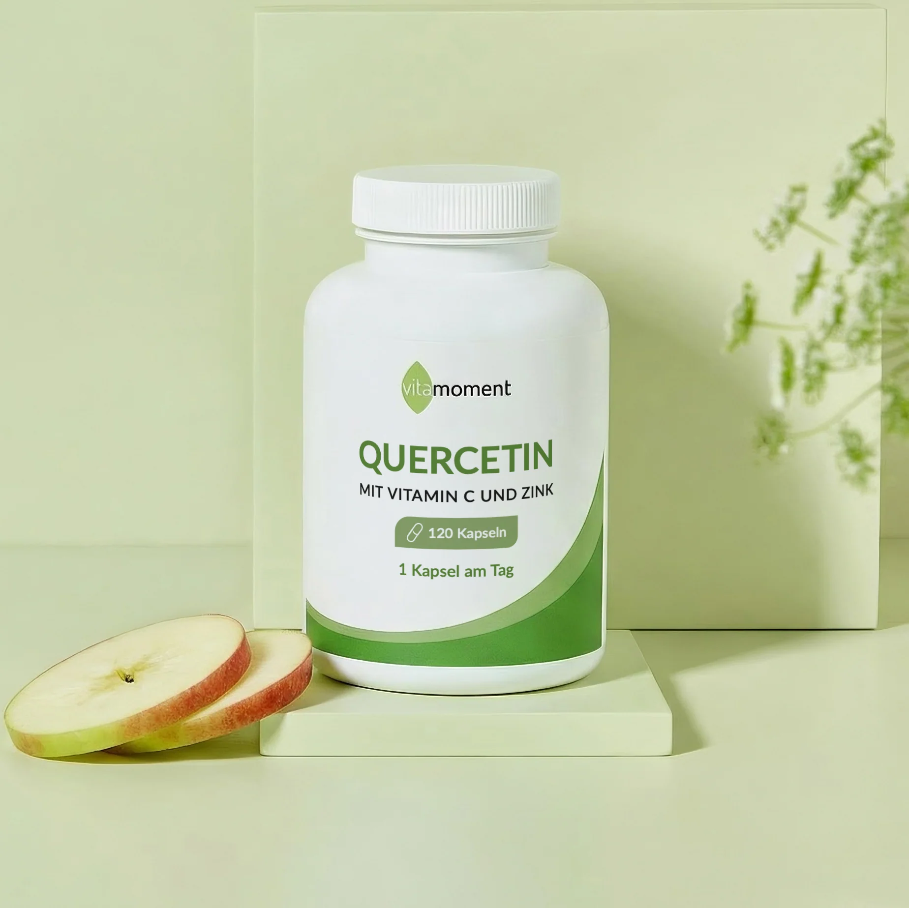 Quercetin - Image 2