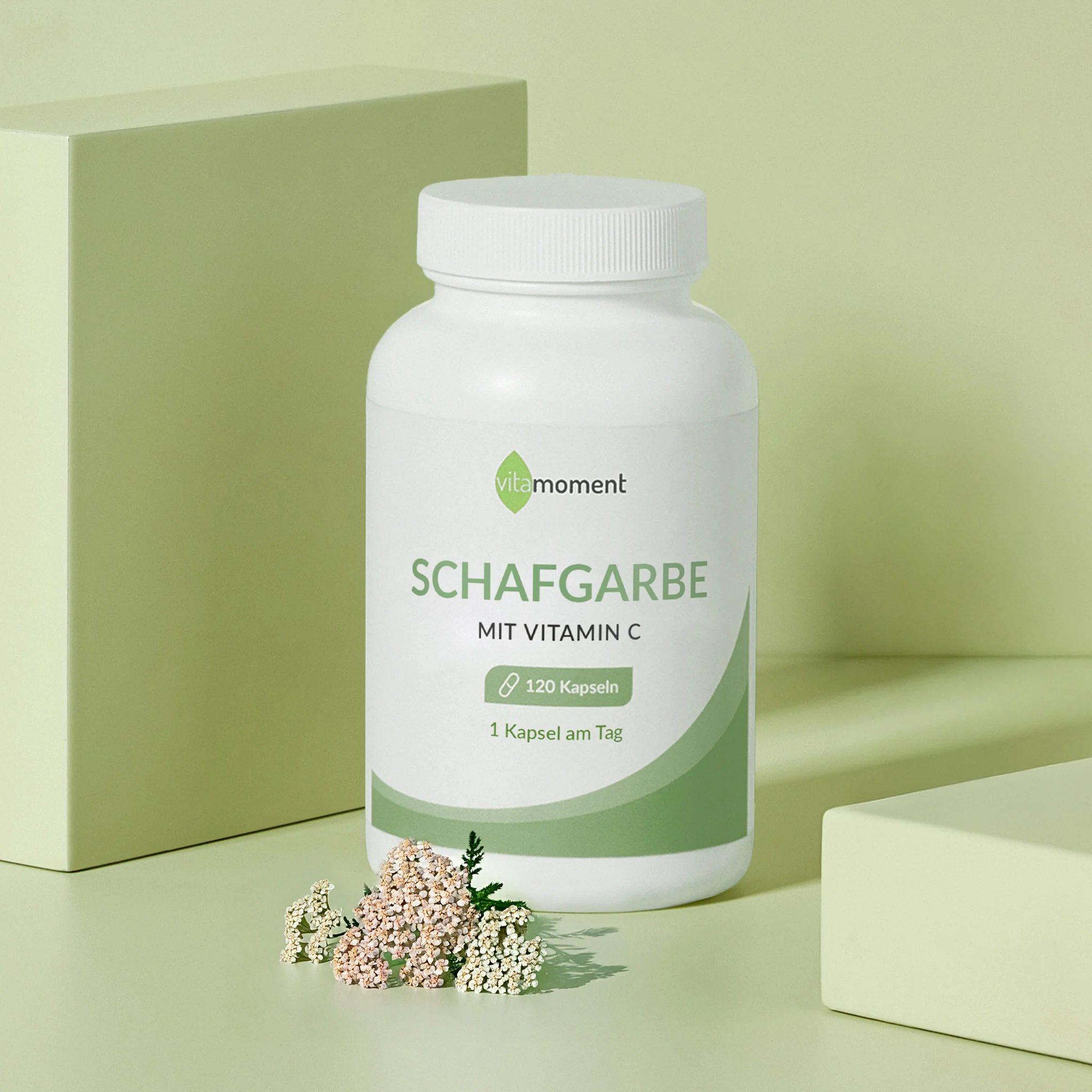 Schafgarbe - Image 2