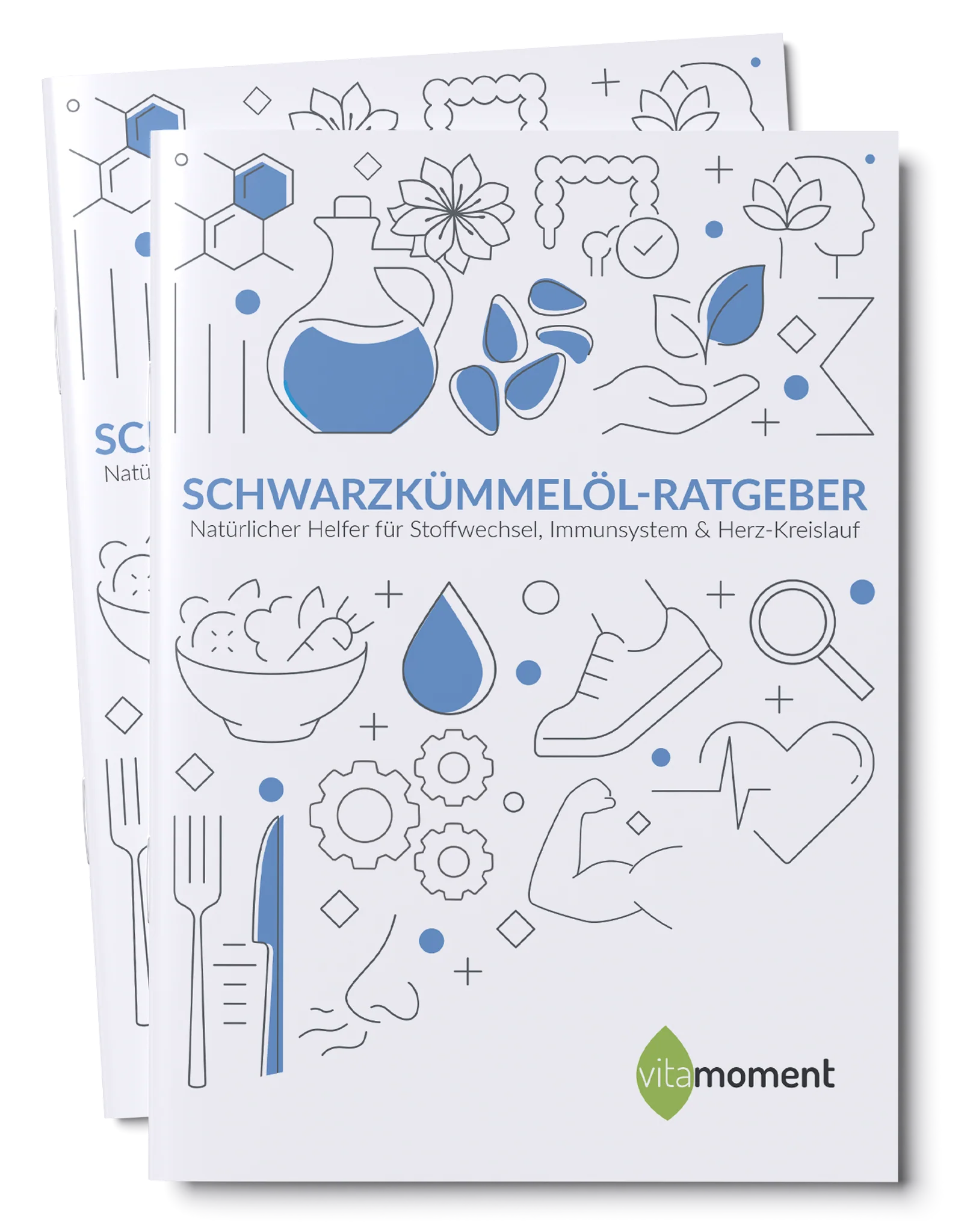 Vorschaubild 1