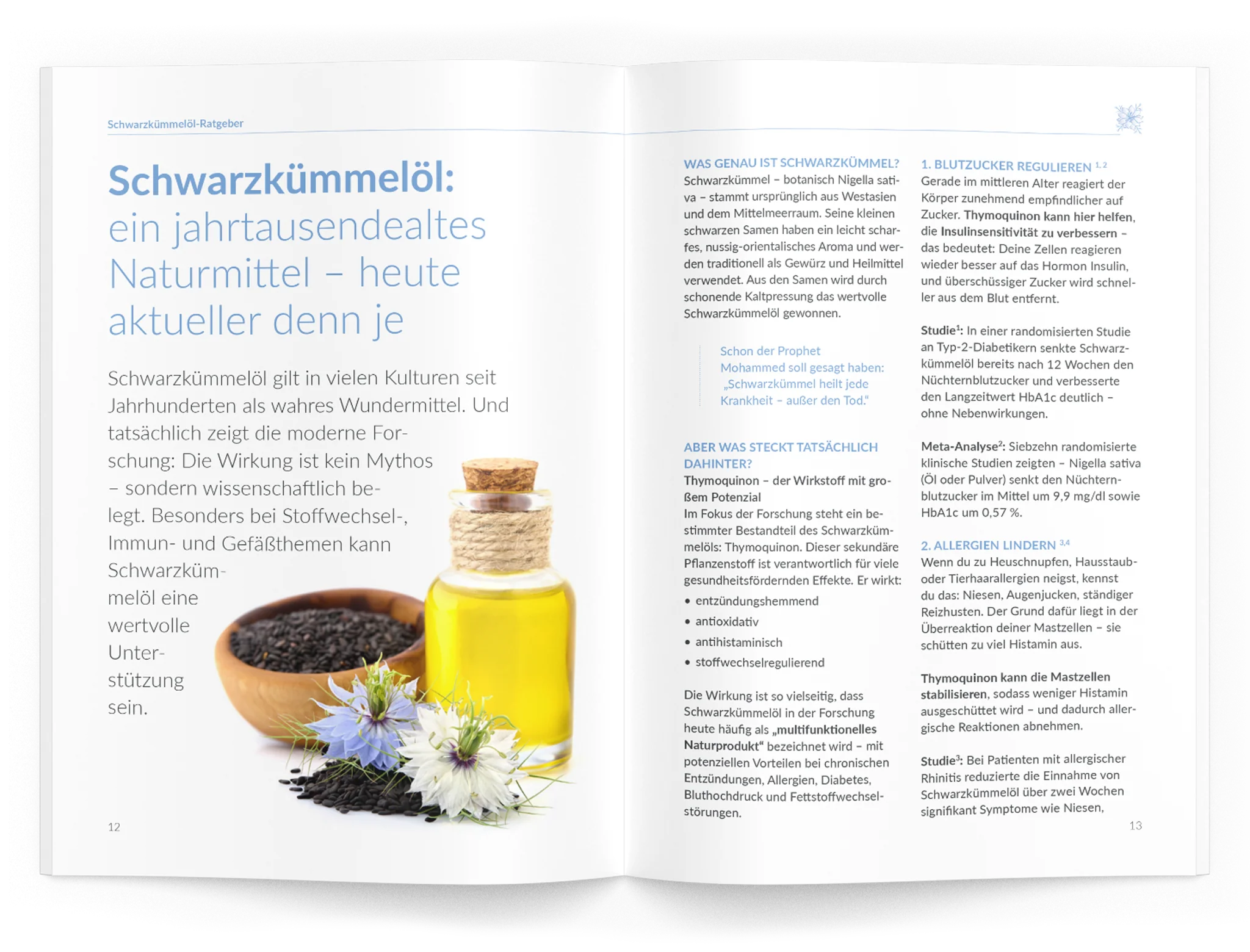 Schwarzkümmelöl-Ratgeber - Image 3