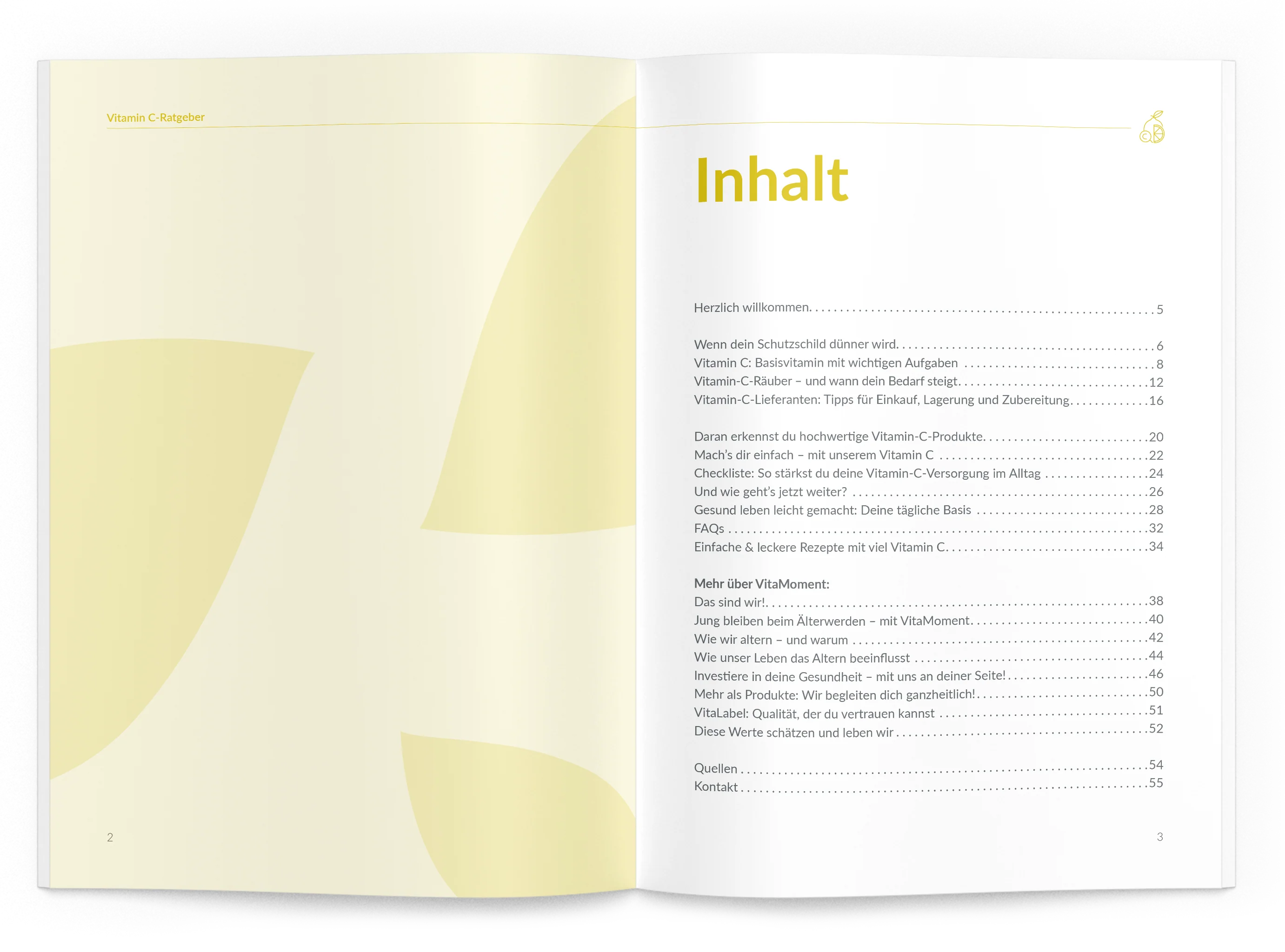Vitamin-C-Ratgeber - Image 2