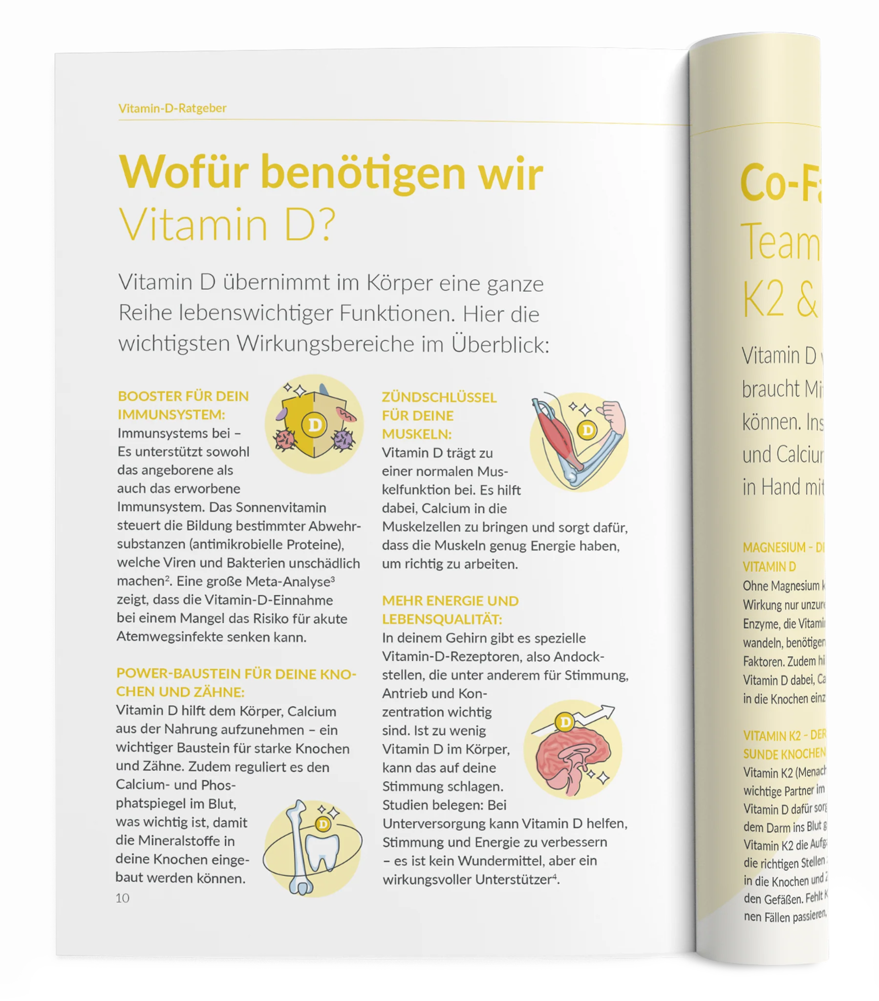 Vitamin D-Ratgeber - Image 3