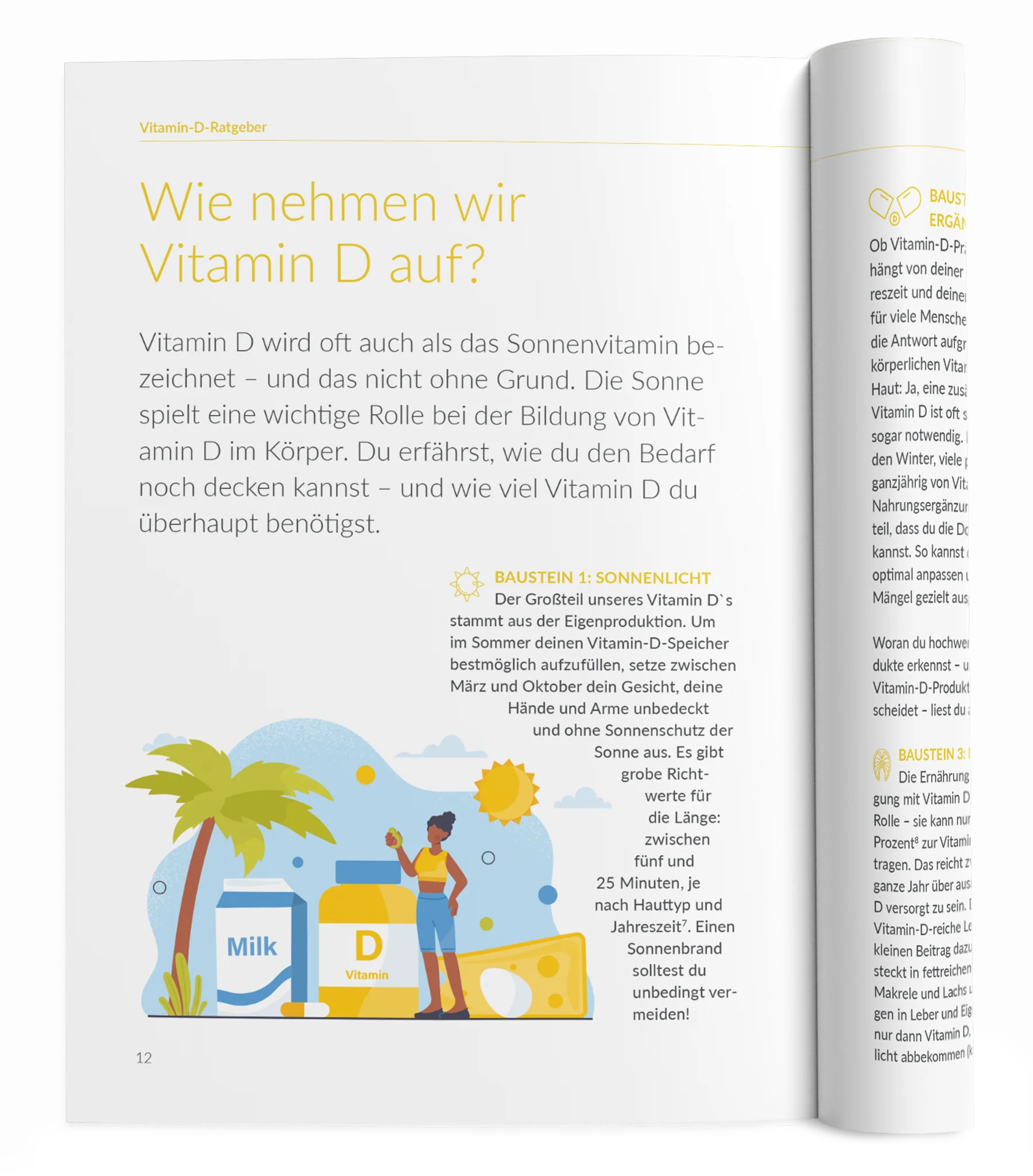 Vitamin D-Ratgeber - Image 4