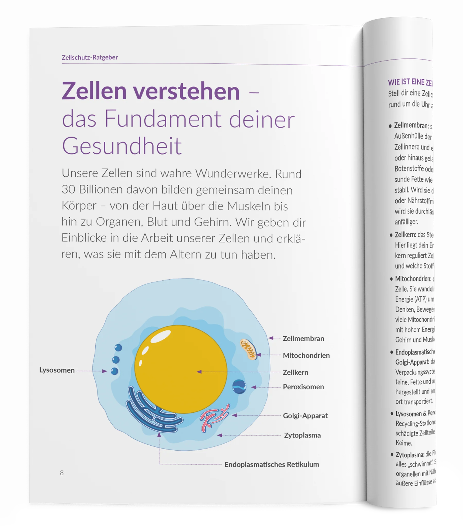 Zellschutz-Ratgeber - Image 10