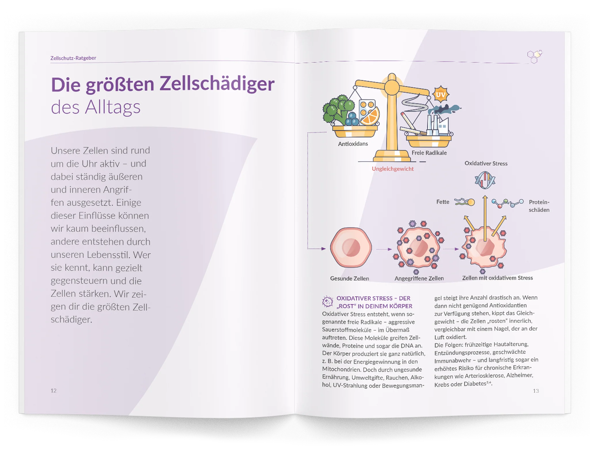 Zellschutz-Ratgeber - Image 11