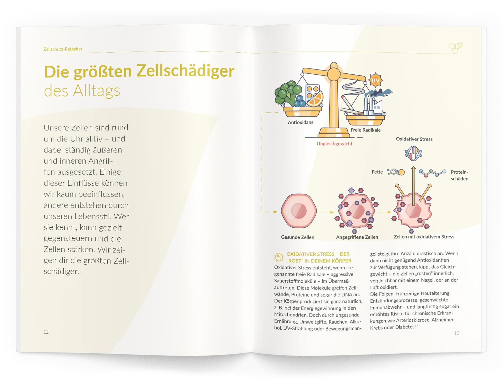 Zellschutz-Ratgeber - Image 14