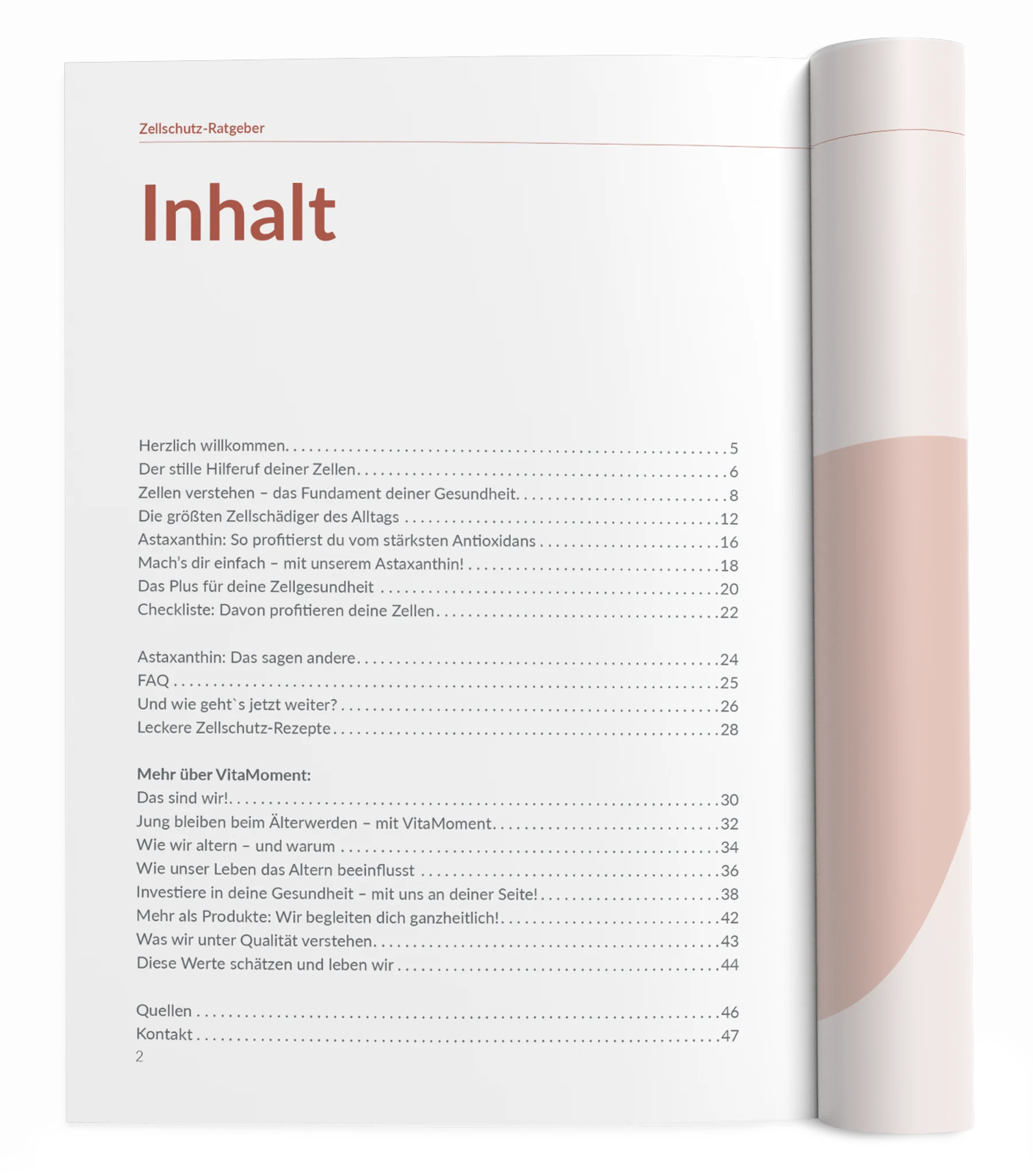 Zellschutz-Ratgeber - Image 15