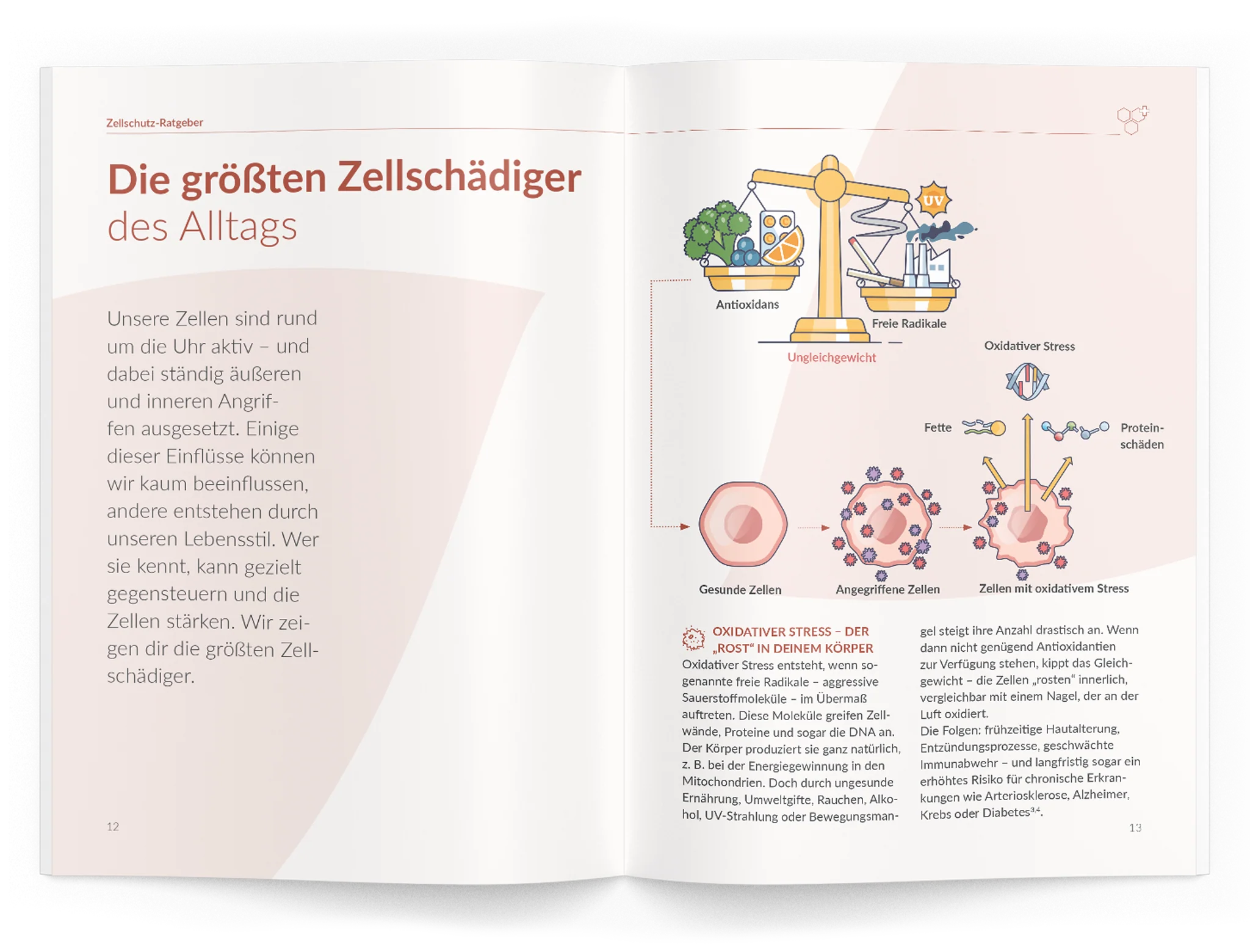 Zellschutz-Ratgeber - Image 17
