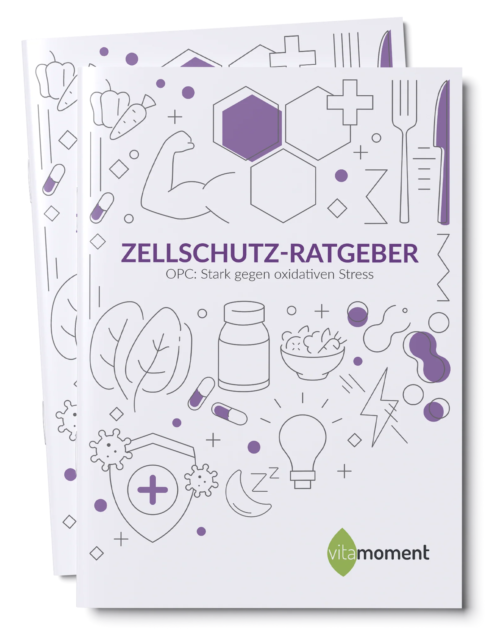 Zellschutz-Ratgeber - Image 2