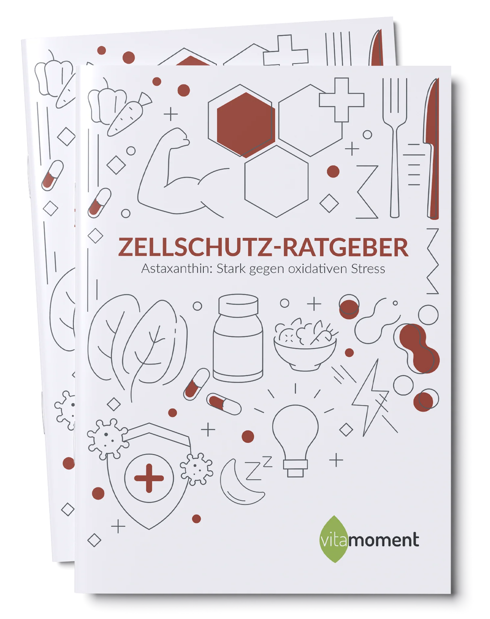 Zellschutz-Ratgeber - Image 4