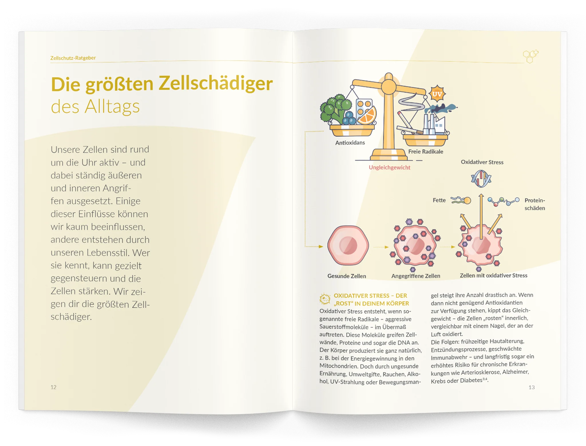 Zellschutz-Ratgeber - Image 7