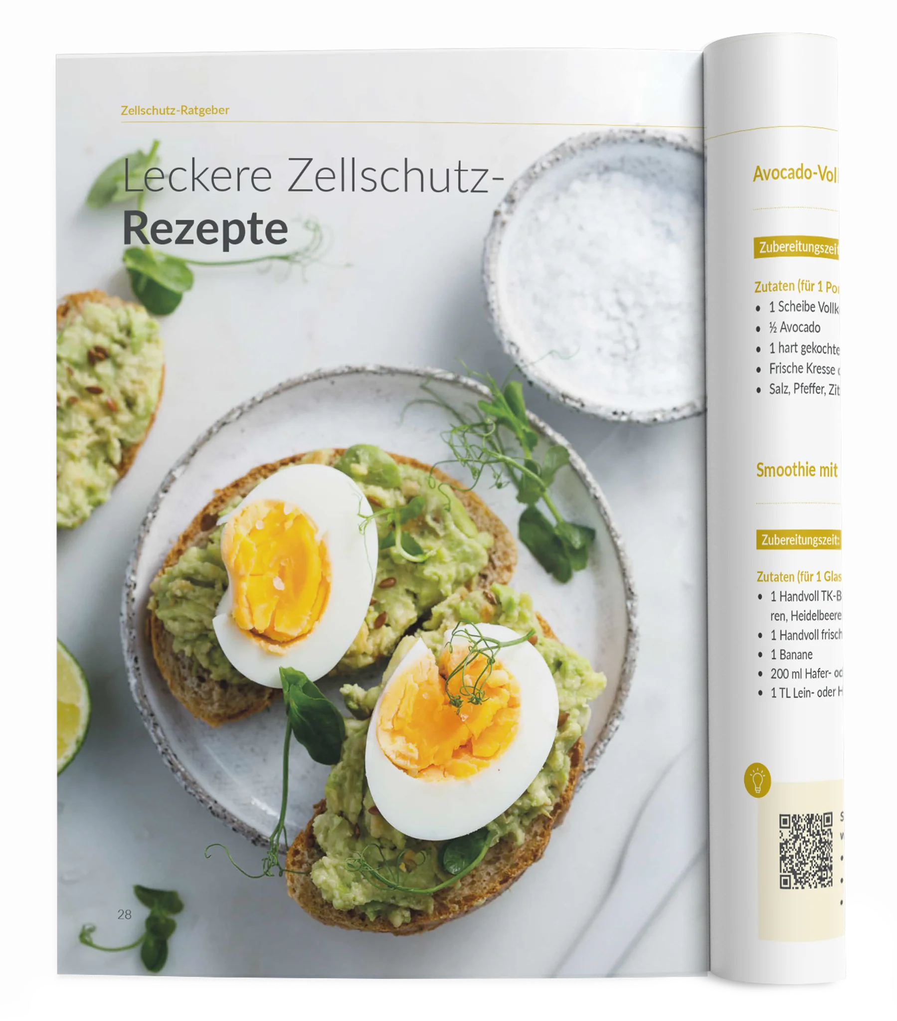 Zellschutz-Ratgeber - Image 8